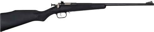 Keystone Crickett KSA2240 .22 LR 16.1 in Blued Single Shot Bolt Action - View 2