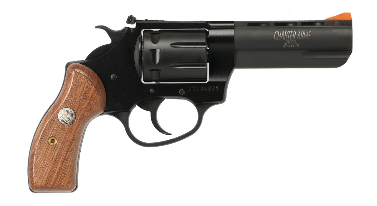 Charter Arms Pathfinder II 22 LR - View 2