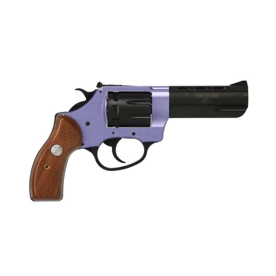 Charter Arms Pathfinder II 22 LR - View 2