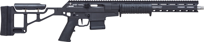 Citadel Taipan CITTPN300BLK 300BLK Pump 16.5" Steel Barrel Threaded 10RD - View 2