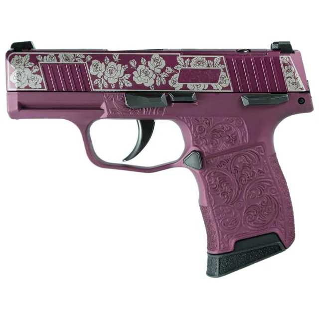Sig Sauer P365-380 380 Auto 3.1 in Barrel Black Manual Safety 10rd Capacity - View 2