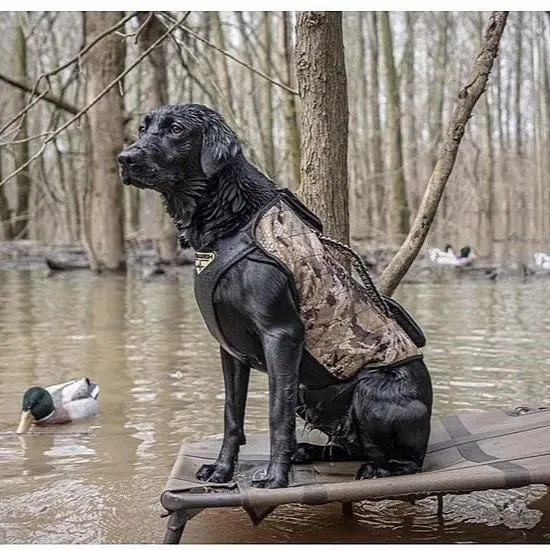 MOmarsh 34126 Versa-Vest Adjustable Dog Vest Mossy Oak BottomLand - View 2
