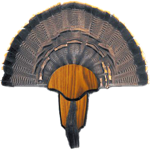Hunter's Specialties Turkey Tail and Beard Mounting Kit Wood 00849 - View 2