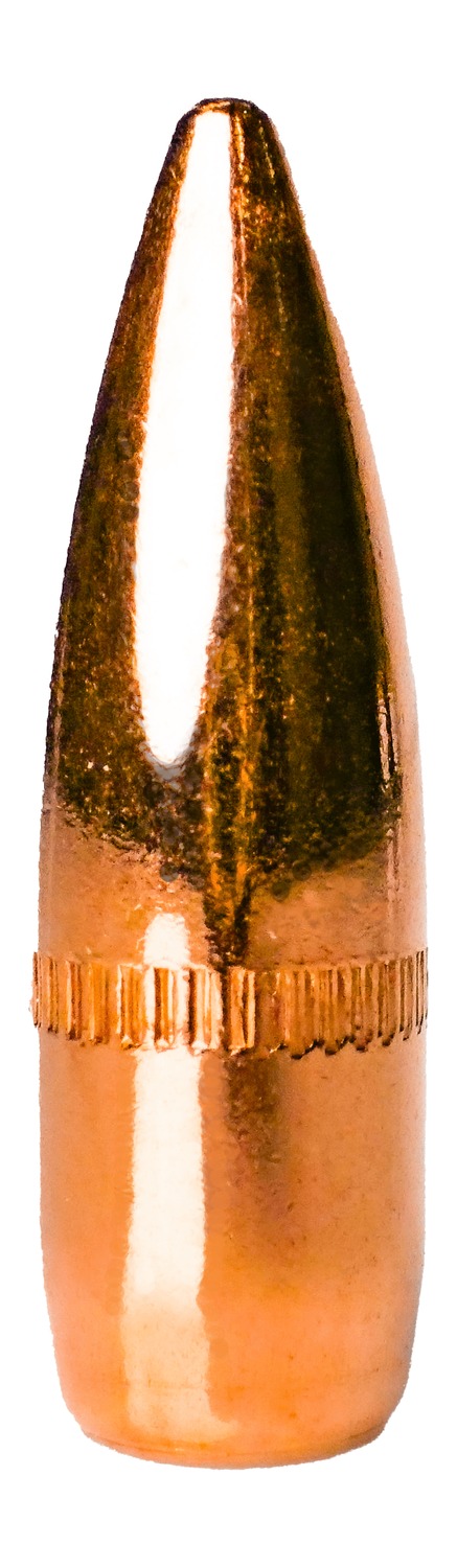 BERRYS 93300 223 .223 55GR FMJ 500