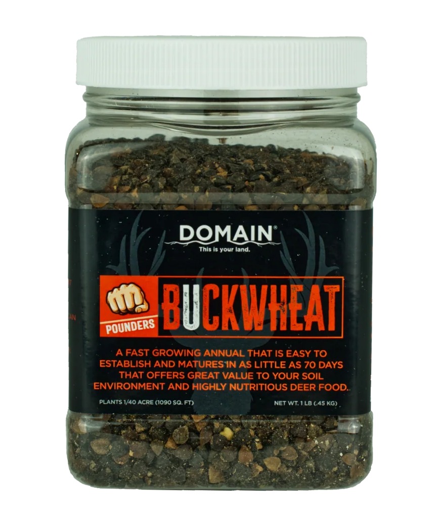 DOMAIN DBWS1LB POUNDER - BUCKWHEAT