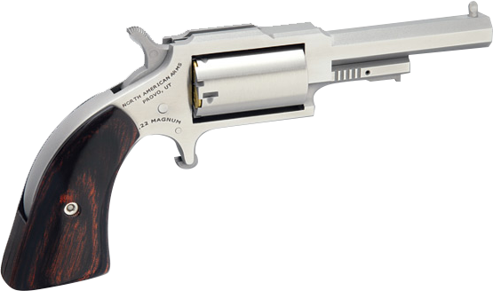 NAA The Earl Sheriff Mini-Revolver Combo 22 LR-.22 WMR Stainless-Wood 2.... - View 2