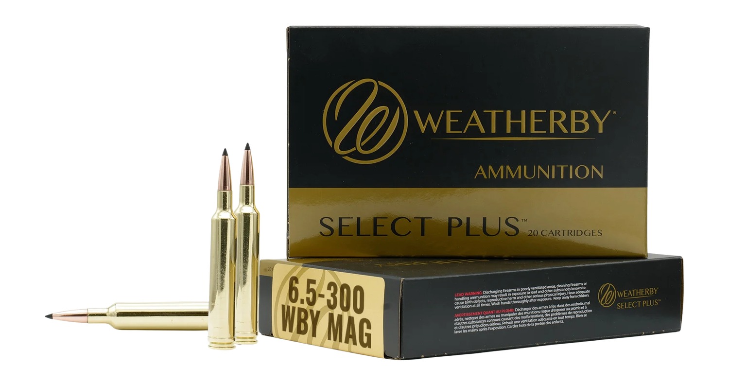 Weatherby M653129HCB 6.5-300WBY 129G Hammer Custom Ammo 20 Rounds - View 2