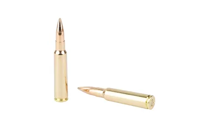 Sellier & Bellot Rifle Ammunition 7.5x55 Swiss 174 Grain Full Metal Jacket - View 5