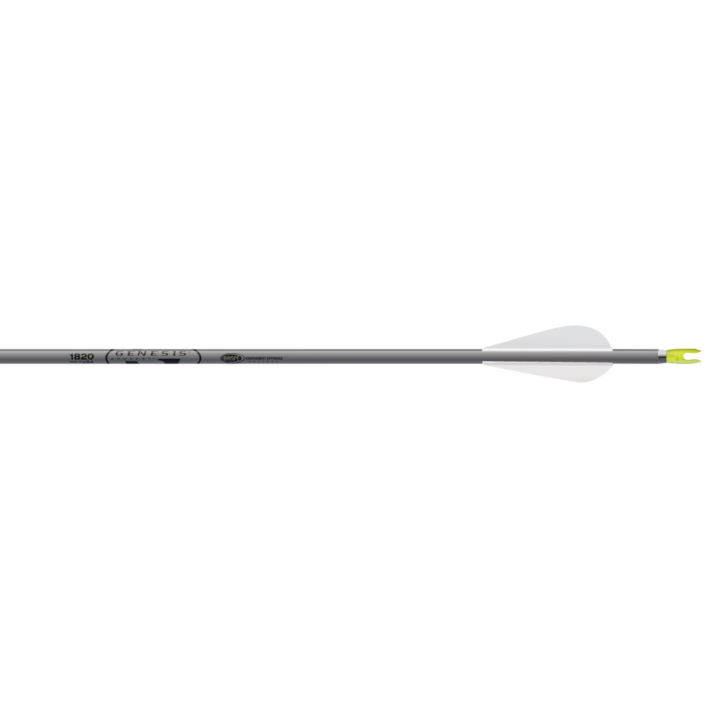 Easton 431434 Genesis Arrows 3" Vanes Silver 6-Pack 7075 Alloy
