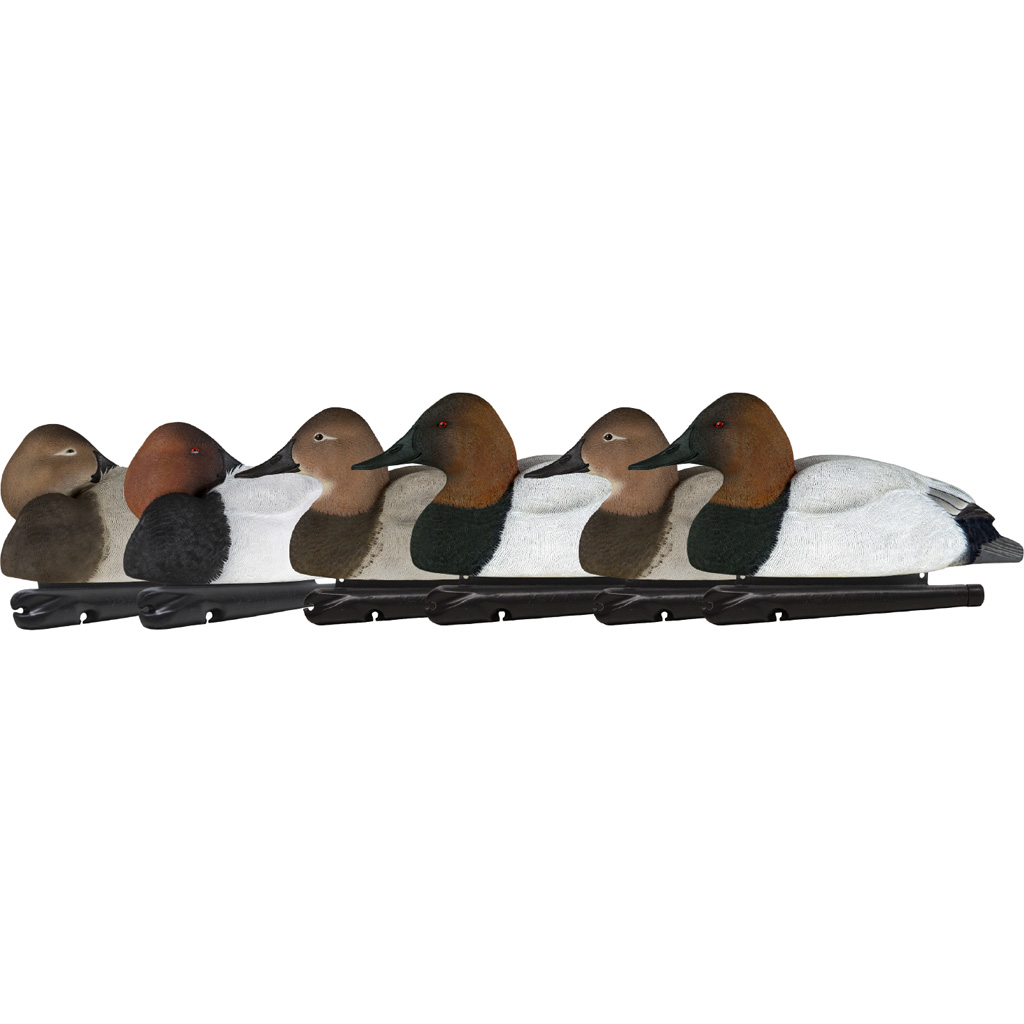 AvianX AVX8086 Top Flight Canvasback Duck Decoys 6-Pack Realistic Design - Avian-X