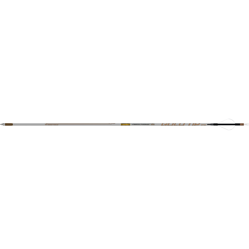Buy Gold Tip AS250A2746 AirStrike Arrows 250 4 Fletch 6pk Ultra-Light .204 online