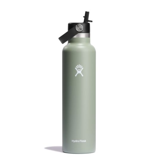 Standard Mouth 24oz Insulated Water Bottle w/ Flex Straw - Hydro Flask